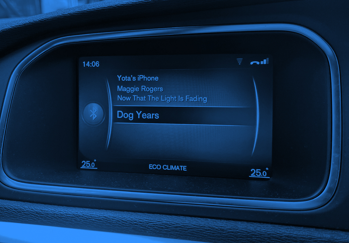 Dog Years